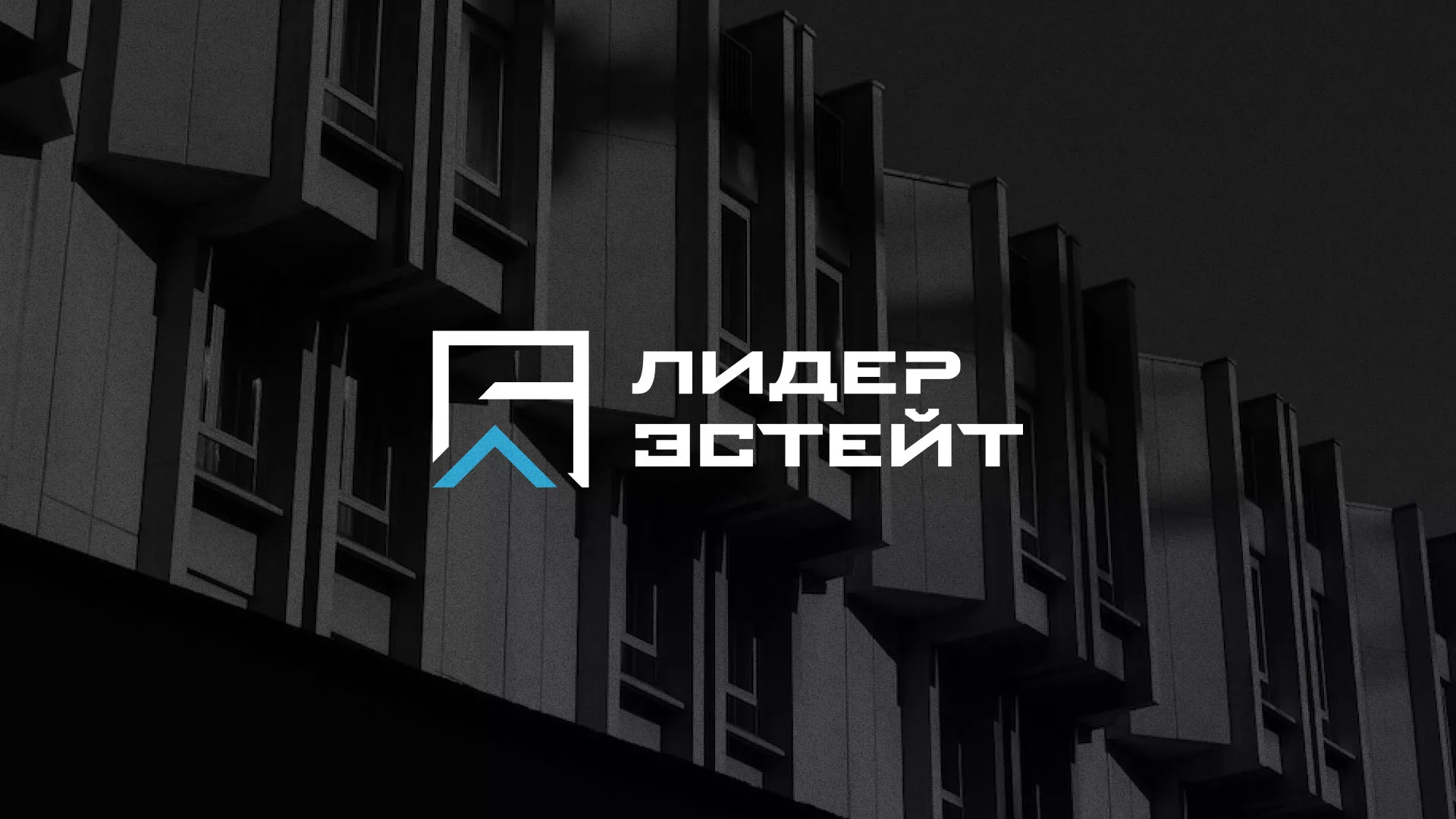Разработка логотипа агентства недвижимости «Лидер Эстейт» в Люберцах